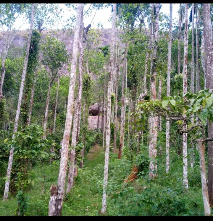 Wayanad Snow Vibes Villa Vythiri Eksteriør bilde