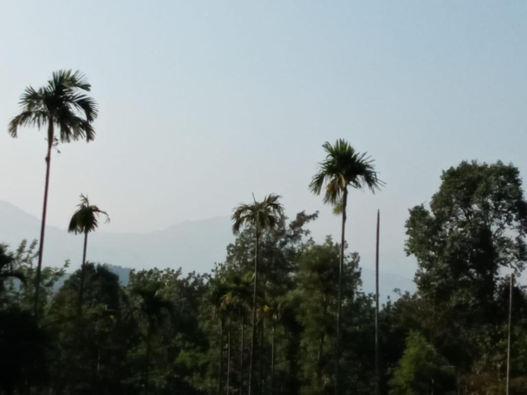 Wayanad Snow Vibes Villa Vythiri Eksteriør bilde