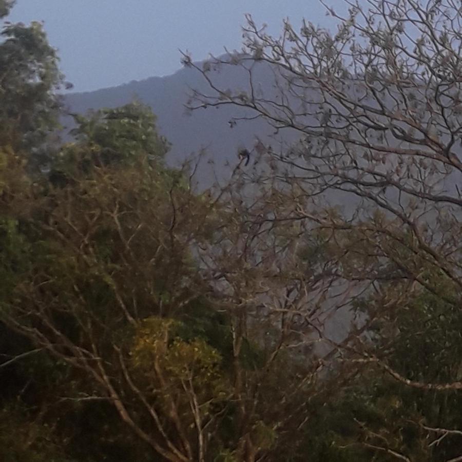 Wayanad Snow Vibes Villa Vythiri Eksteriør bilde